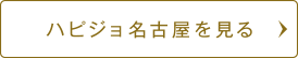 ハピジョ名古屋を見る